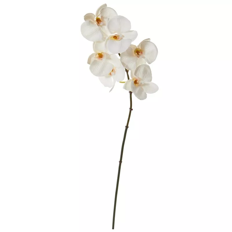 22-phalaenopsis-orchid-artificial-flower-set-12-white 22 Phalaenopsis Orchid Artificial Flower (Set of 12) White
