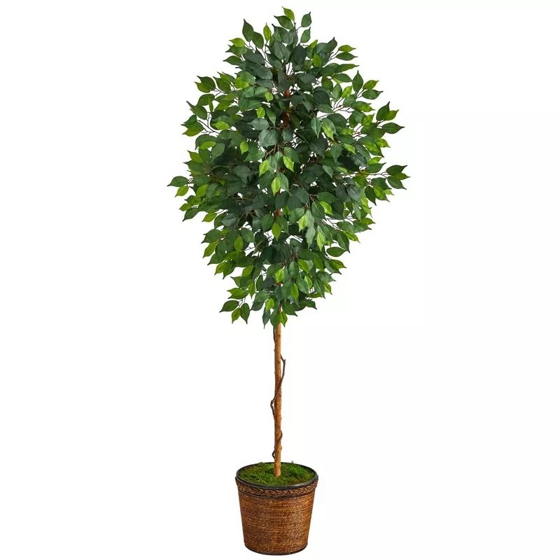 6-5-ficus-artificial-tree-in-wicker-planter 6.5 Ficus Artificial tree in Wicker Planter