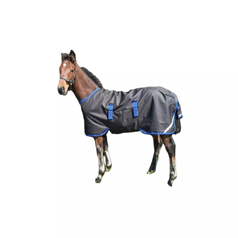 amigo-ripstop-900d-foal-turnout-50g-black-classic-blue Amigo Ripstop 900D Foal Turnout 50g Black/Classic Blue