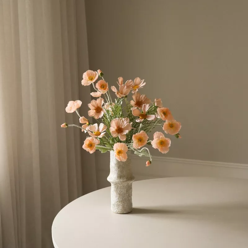 apricot-breeze-coral Apricot Breeze Coral