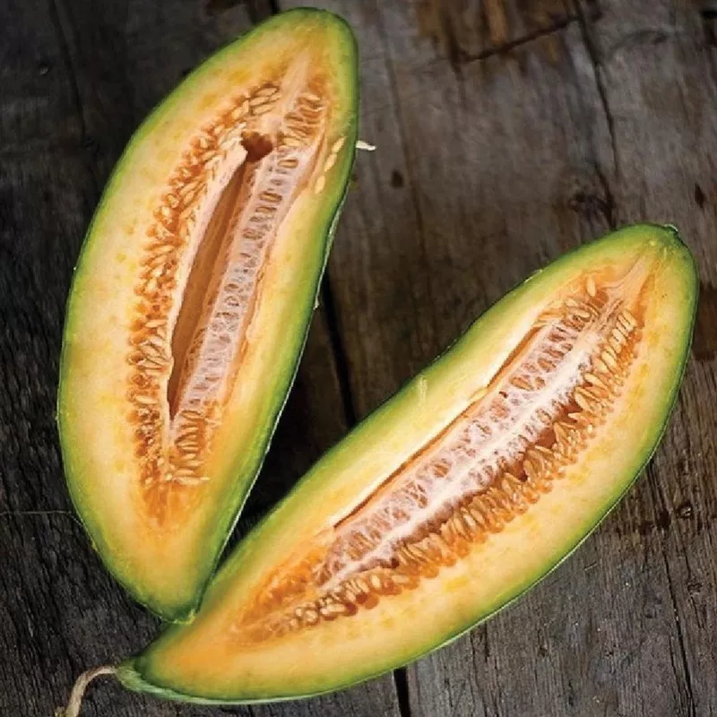 Banana Melon (Cucumis melo) Fruit Seeds