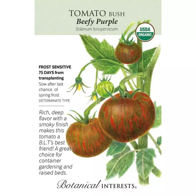 beefy-purple-bush-tomato Beefy Purple Bush Tomato