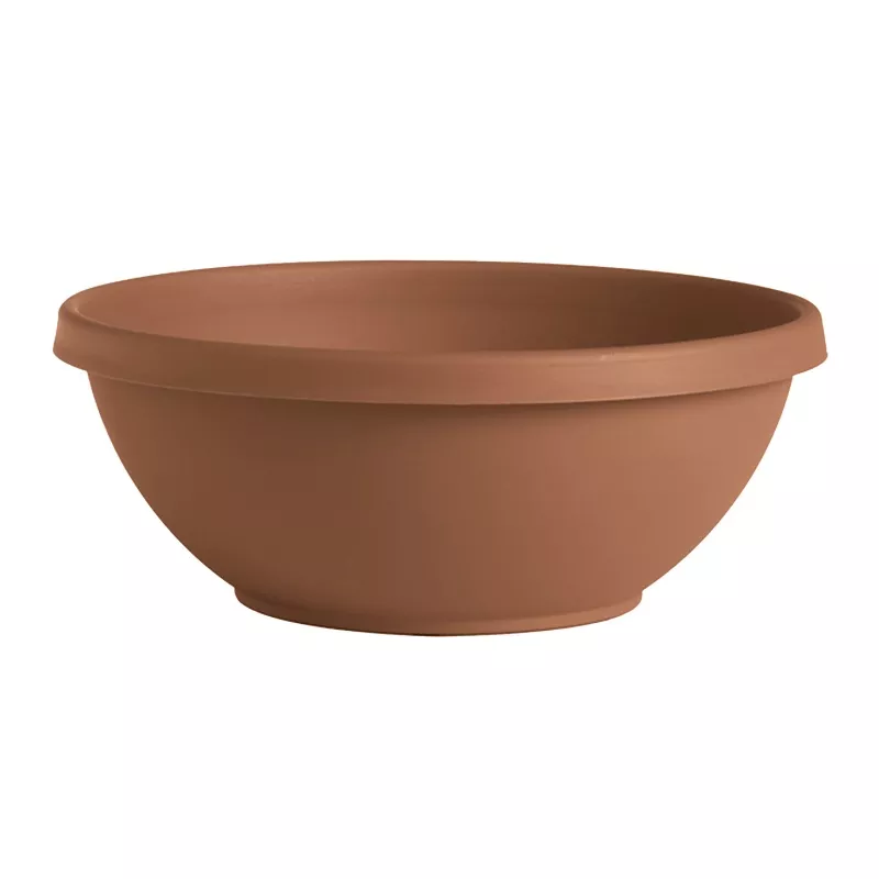 bloem-terra-bowl Bloem Terra Bowl