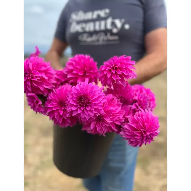 bloomquist-beyond-dahlia-tuber Bloomquist Beyond Dahlia Tuber