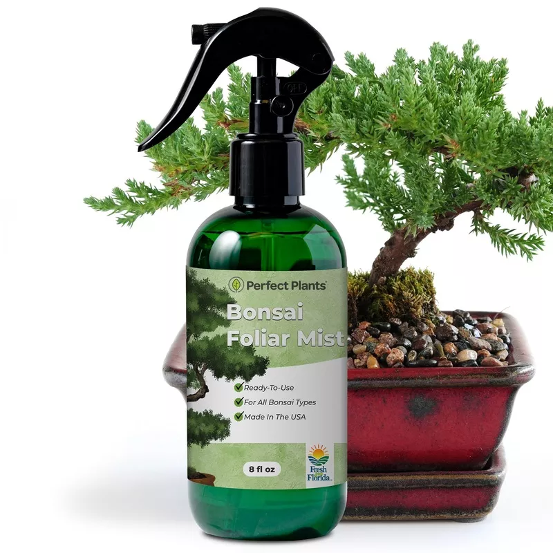 bonsai-fertilizer-spray Bonsai Fertilizer Spray