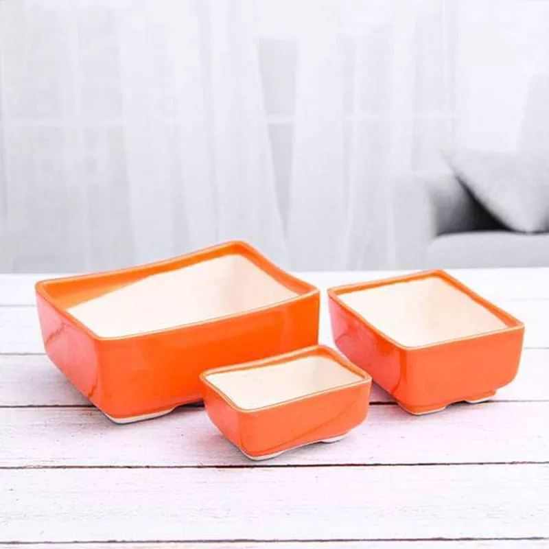 bonsai-rectangle-ceramic-pots-pack-3 Bonsai Rectangle Ceramic Pots – Pack of 3