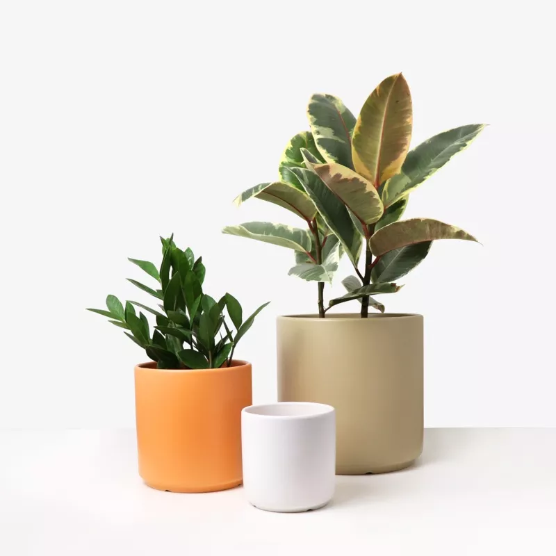 ceramic-planter-cylinder-black Ceramic Planter, Cylinder Black