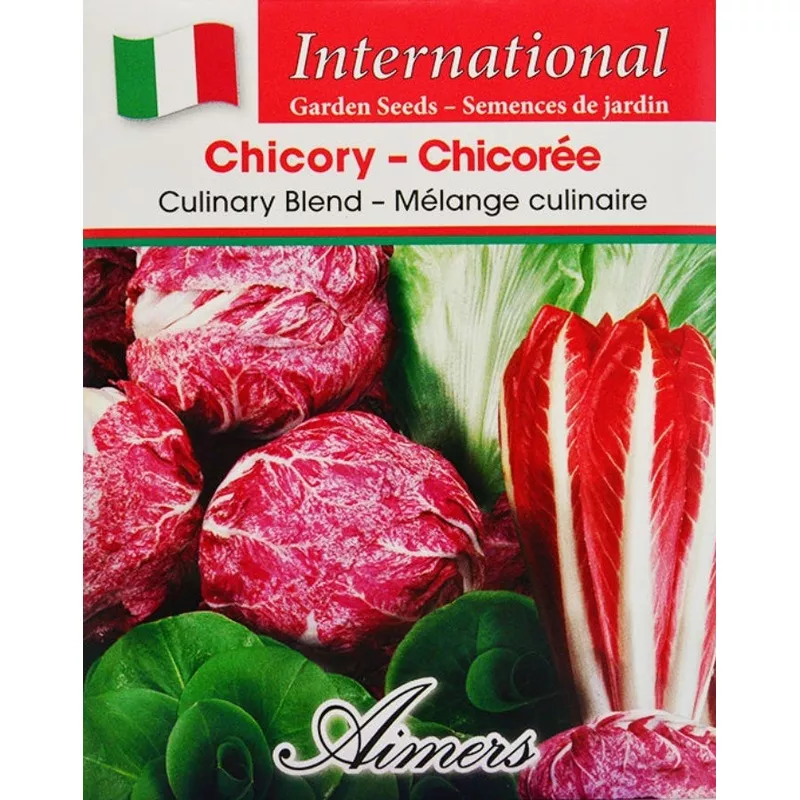 chicory-culinary-blend-international-aimers-seeds Chicory Culinary Blend International – Aimers Seeds