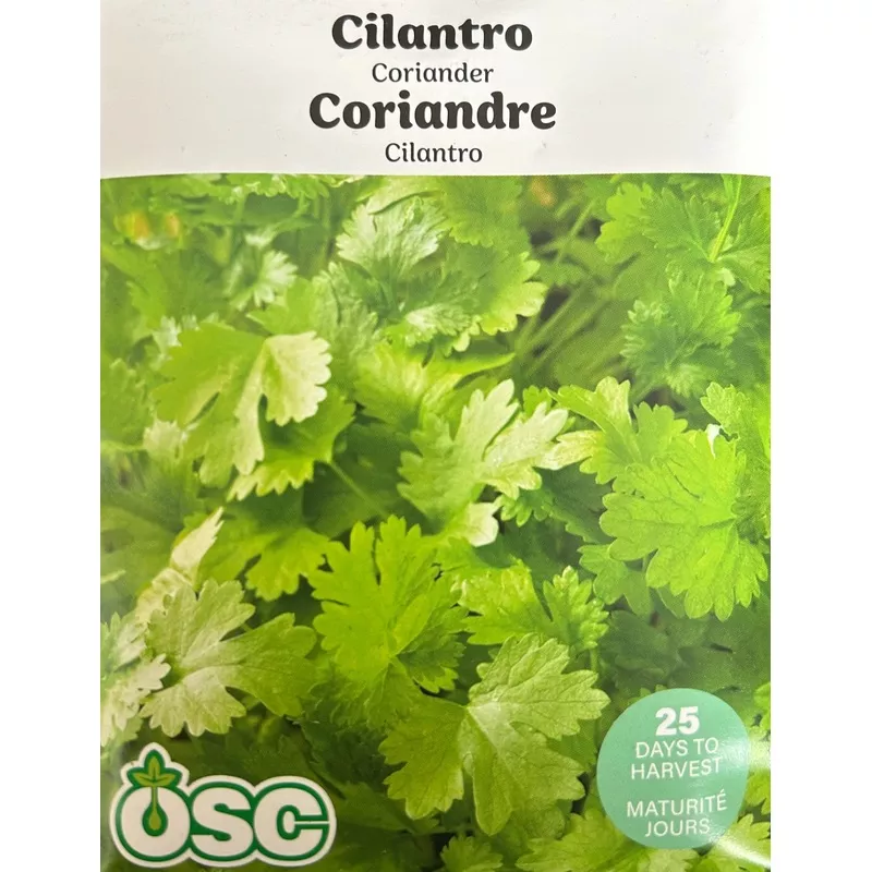 cilantro-coriander-seeds Cilantro (Coriander) (Seeds)