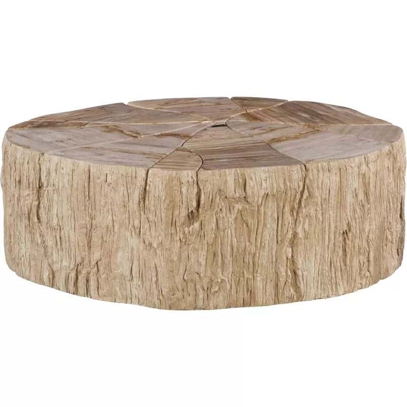 Converge Petrified Coffee Table