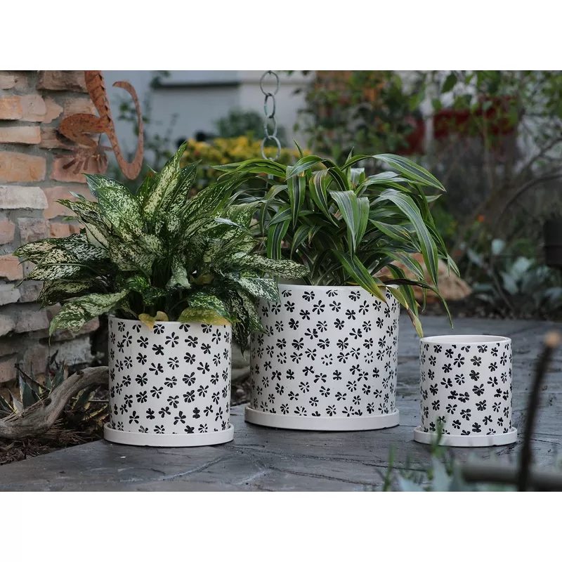 cylinder-floral-stamped-planter-by-plantatorem-black-pansy Cylinder Floral Stamped Planter By Plantatorem Black Pansy