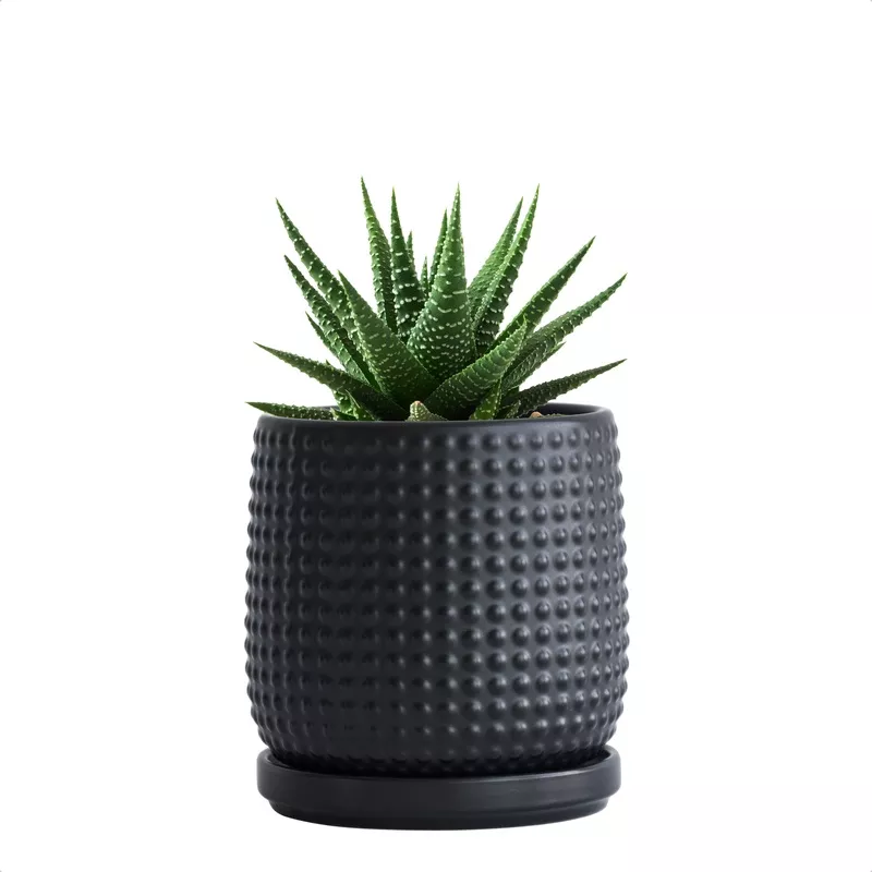 Design Stoneware Pot, Beaded, 4 Inch, Matte Black