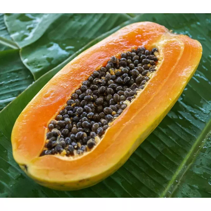 dwarf-sweet-papaya-carica-papaya-fruit-seeds-planting-in-tropical-garden Dwarf Sweet Papaya Carica papaya Fruit Seeds for Planting in Tropical Garden