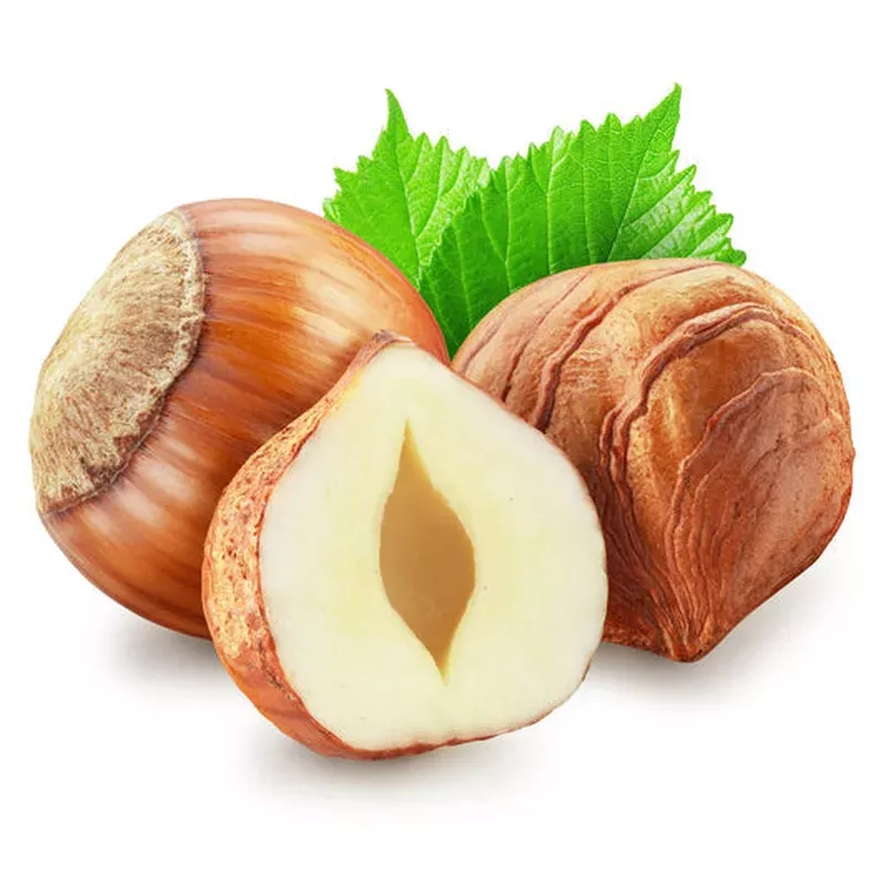 european-hazelnut-tree-corylus-avellana-seeds-common-filbert-edible-nut-fruit-tr European Hazelnut Tree (Corylus Avellana) Seeds Common Filbert Edible Nut Fruit Tree