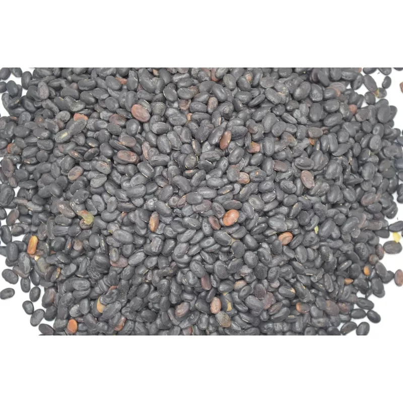 forage-soybeans-laredo Forage Soybeans (Laredo)
