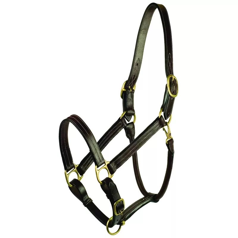 gatsby-premium-adjustable-triple-stitched-halter-havana Gatsby Premium Adjustable Triple Stitched Halter Havana