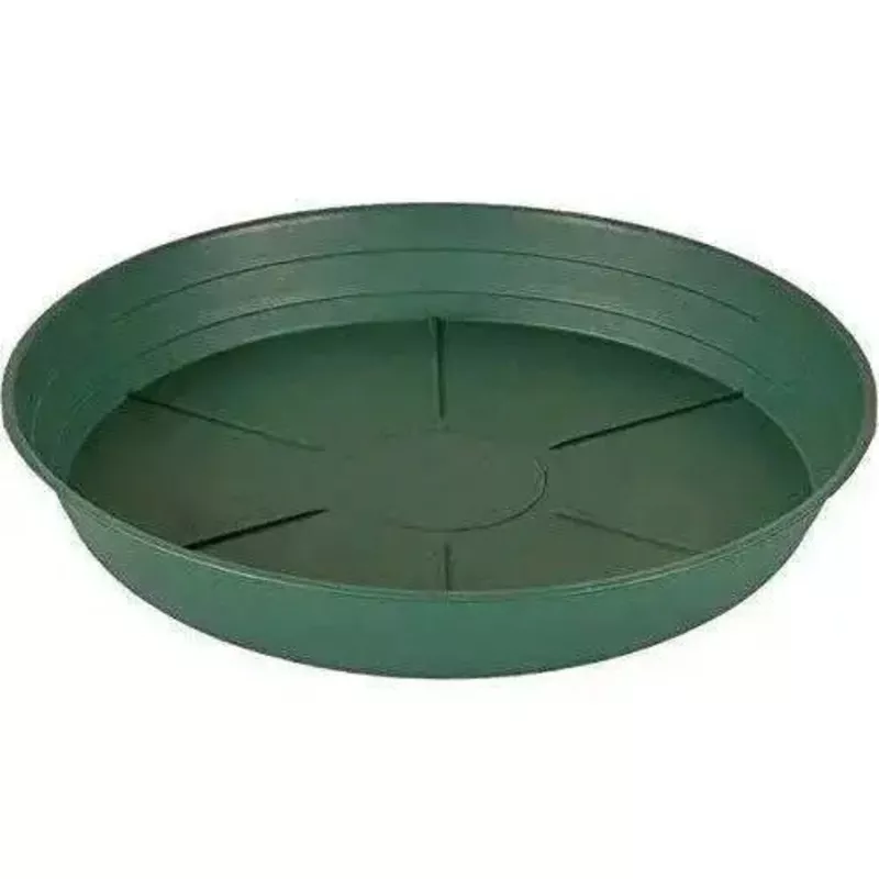 green-premium-saucer Green Premium Saucer