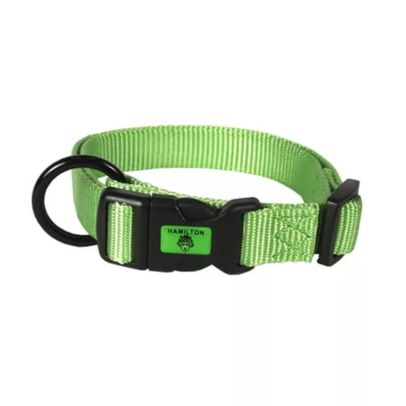 hamilton-adjustable-dog-collar-lime-green Hamilton Adjustable Dog Collar Lime Green