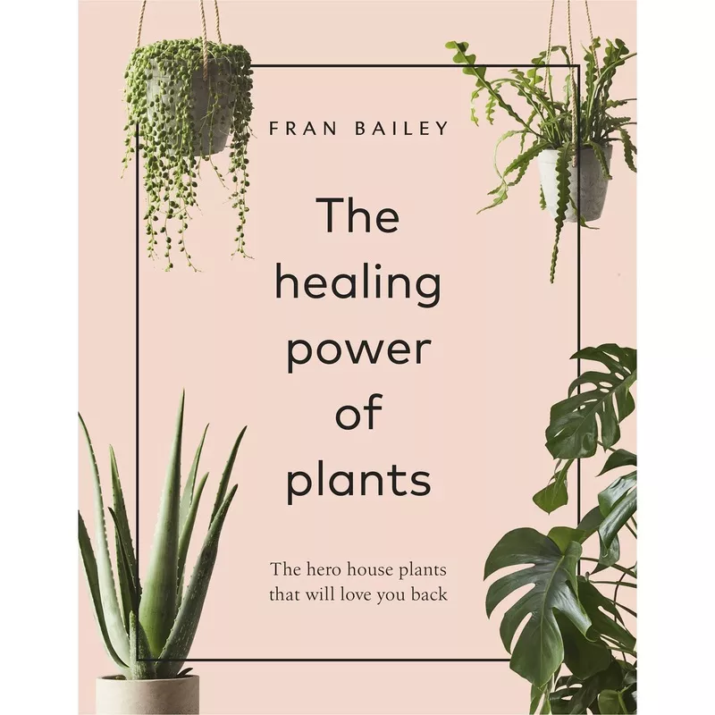 healing-power-plants The Healing Power of Plants