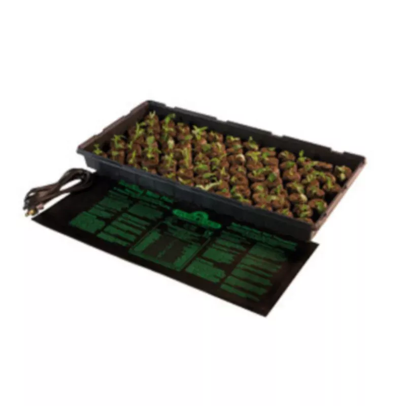 heat-mats-jump-start-seedling Heat Mats Jump Start Seedling