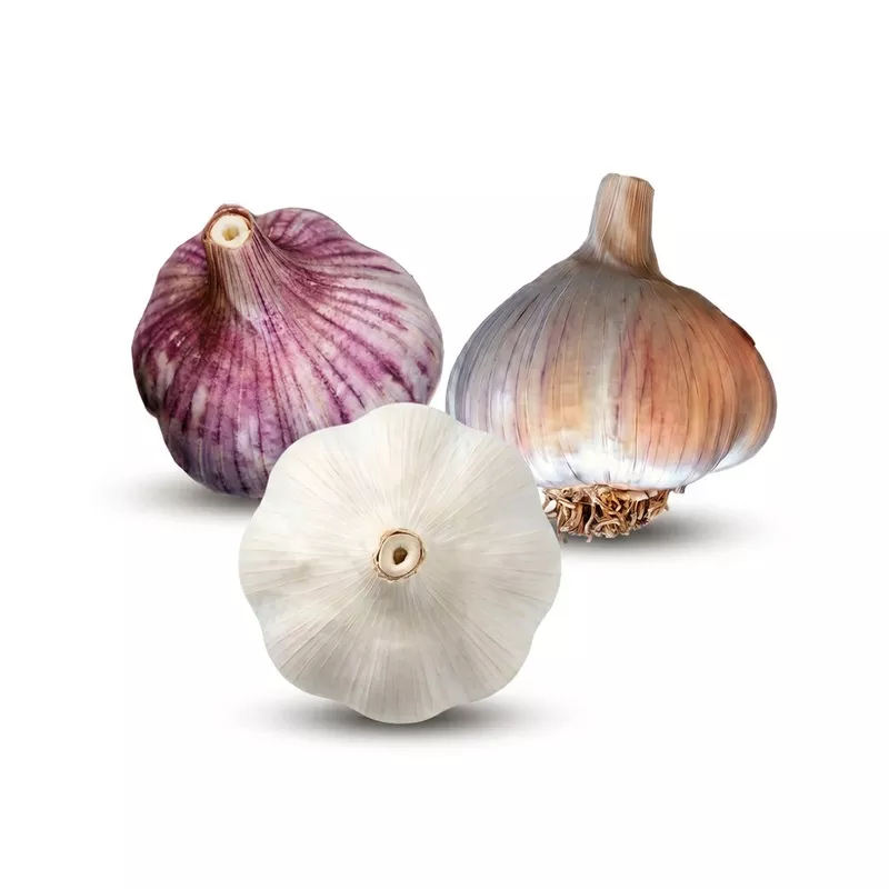 hot-spicy-garlic-bundle Hot & Spicy Garlic Bundle
