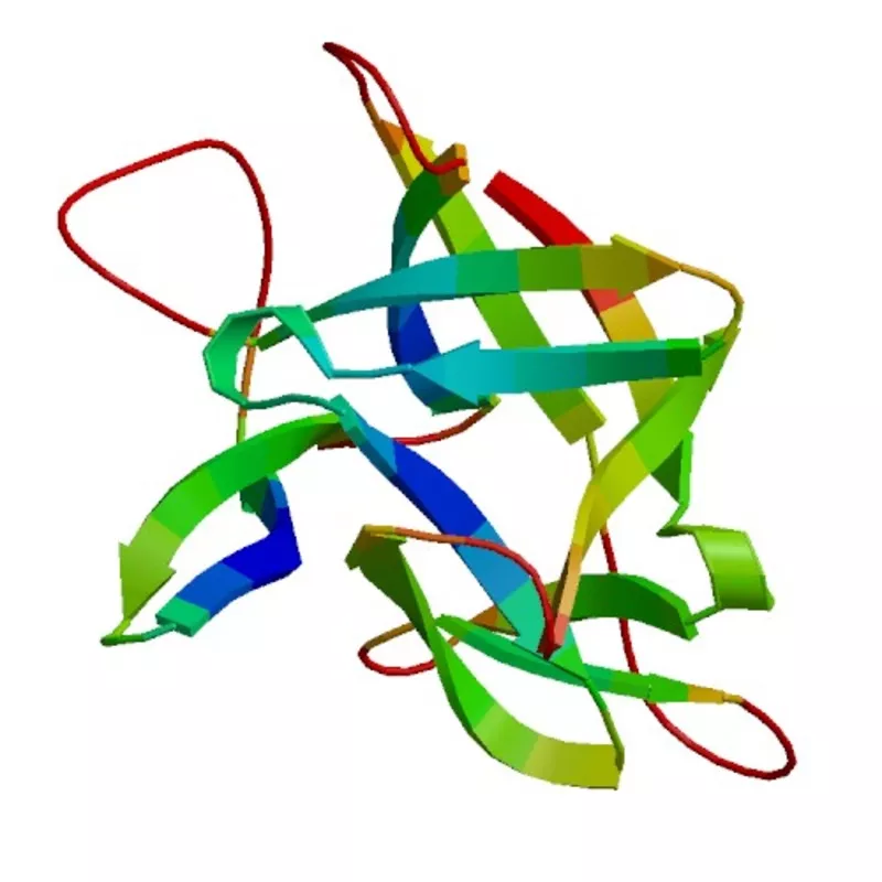 il36g-il-36-gamma-human-152 IL36G (IL-36 gamma), Human (152 a.a.)