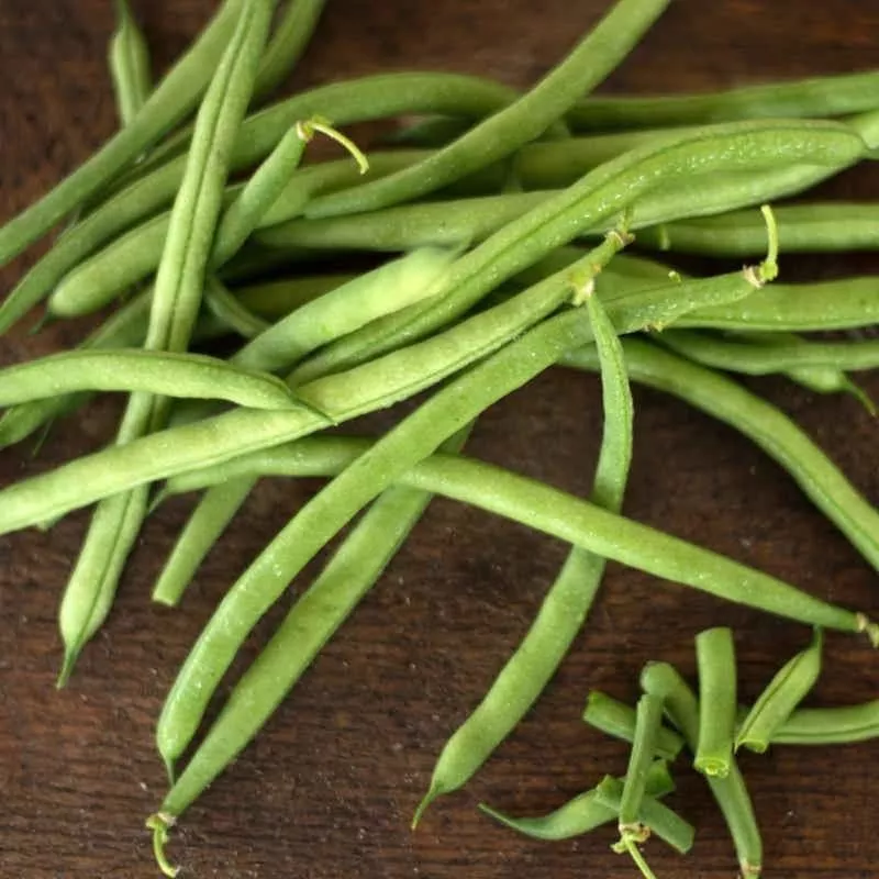 jade-bush-bean-57-days Jade Bush Bean (57 Days)