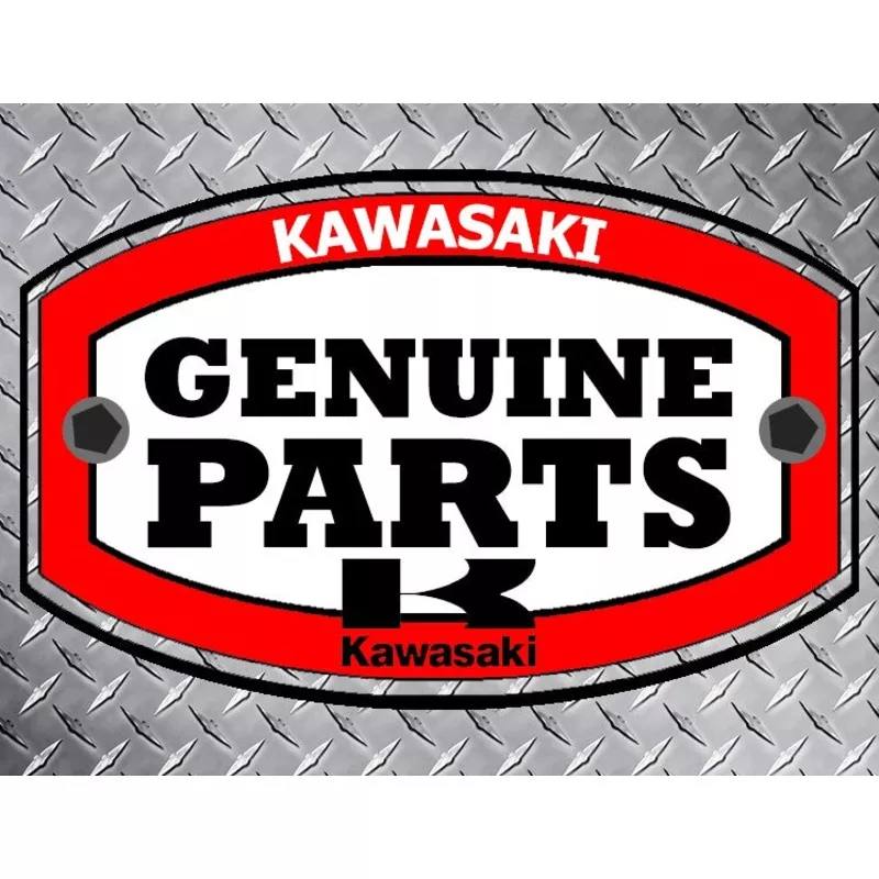 Kawasaki Motor Corp. USA Genuine Part 491200803 CRANKCASE-COMP