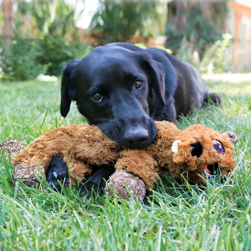 kong-low-stuff-flopzie-beaver KONG LOW STUFF FLOPZIE BEAVER
