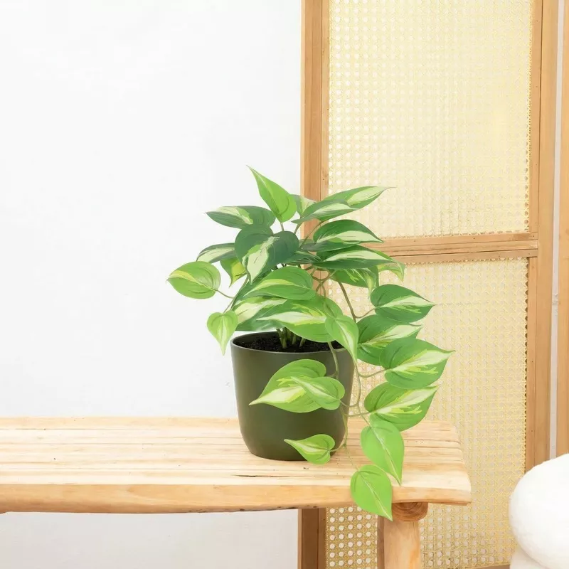 Kunst Epipremnum Variegata – 37cm