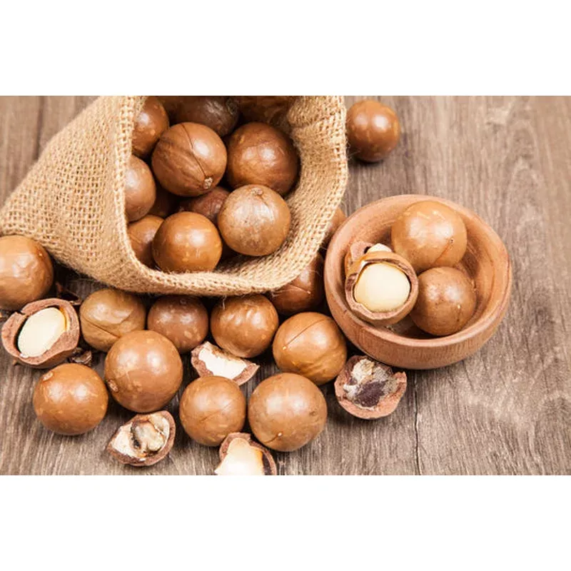 macadamia-nut-tree-macadamia-integrifolia-brown-shell-beige-nut-fruit-white-pink Macadamia Nut Tree (Macadamia Integrifolia) Brown Shell Beige Nut Fruit White & Pink Flower Seeds
