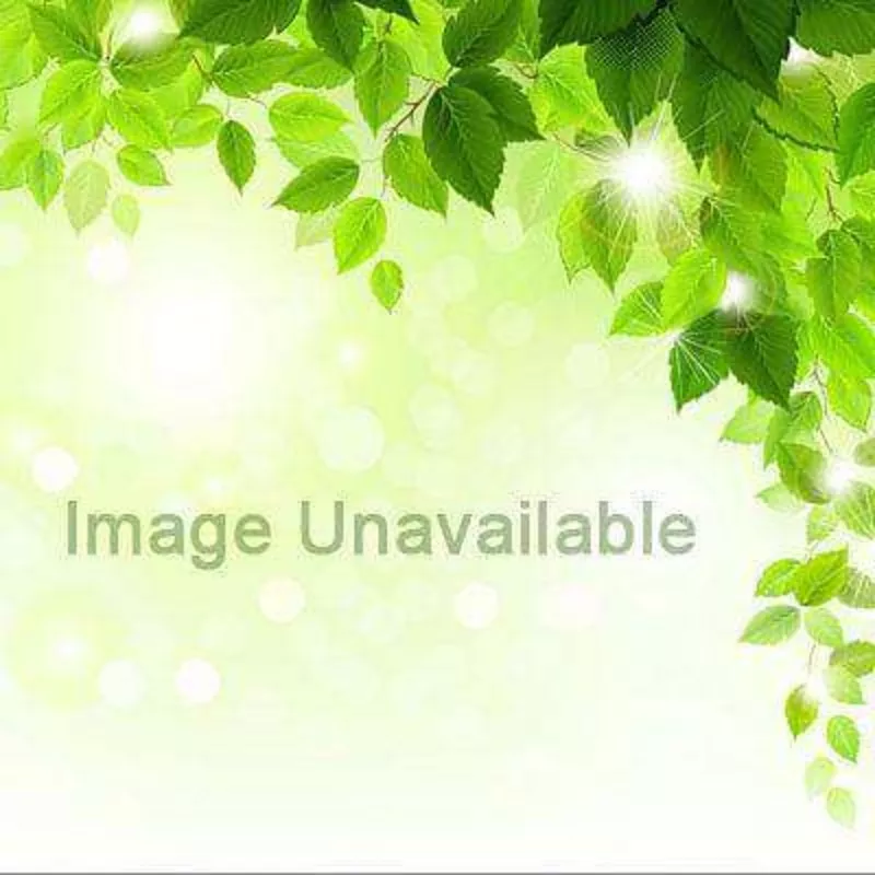 magnolia-humilis-plant Magnolia humilis – Plant