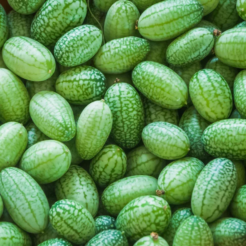 mexican-sour-gherkin-cucumbers Mexican Sour Gherkin Cucumbers