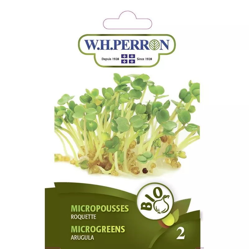 micropousses-roquette-semences Micropousses ‘Roquette’ – Semences