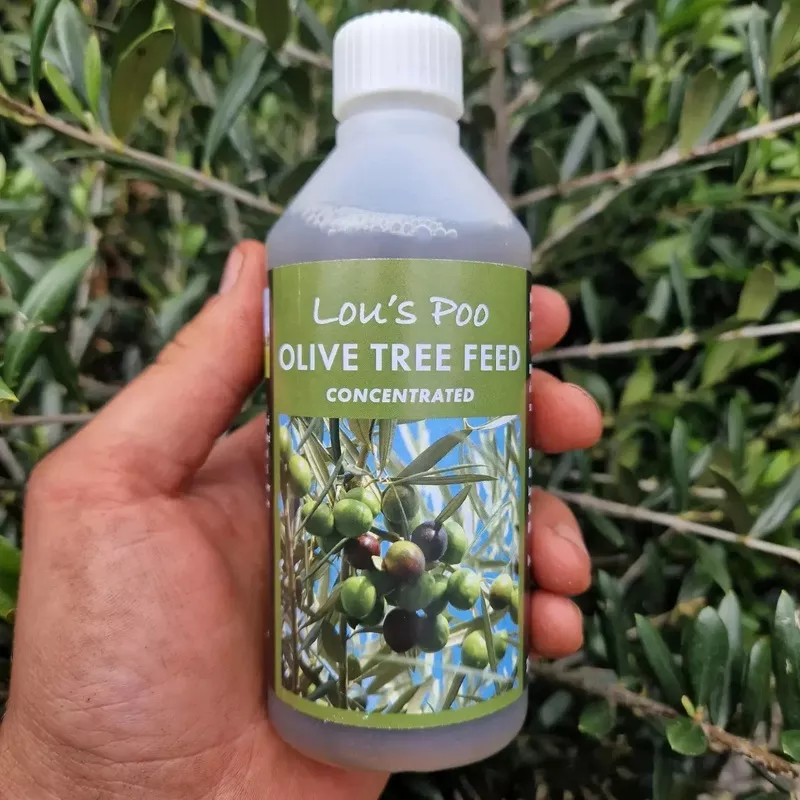 olive-tree-feed-liquid-concentrate Olive Tree Feed (Liquid Concentrate)
