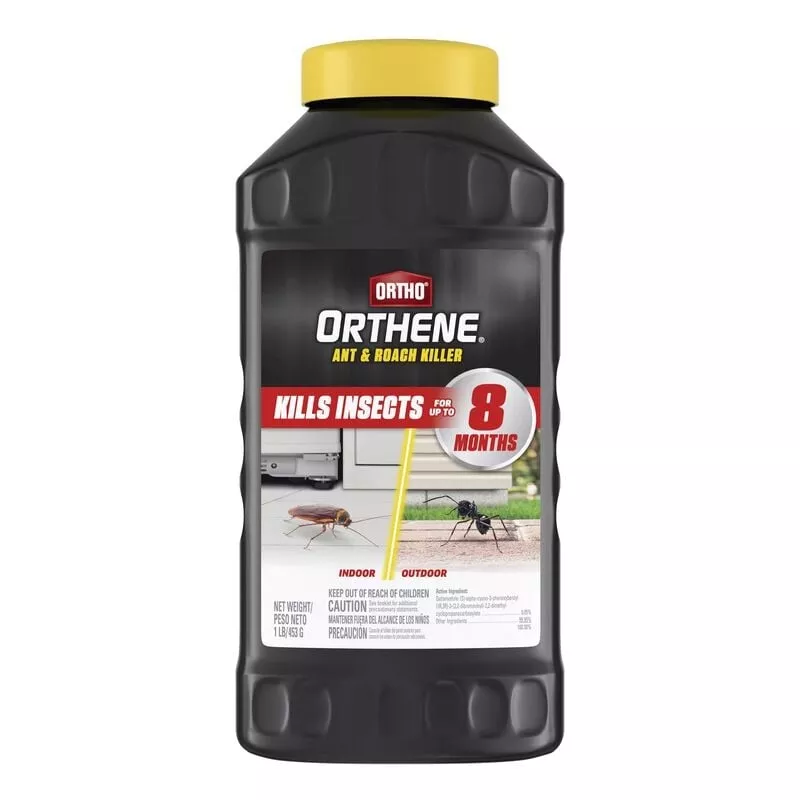 ortho-orthene-ant-roach-killer Ortho Orthene Ant & Roach Killer