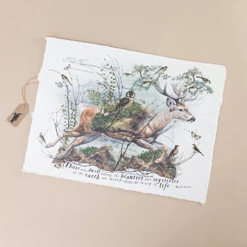 Paper Print | Mysteries of the Earth