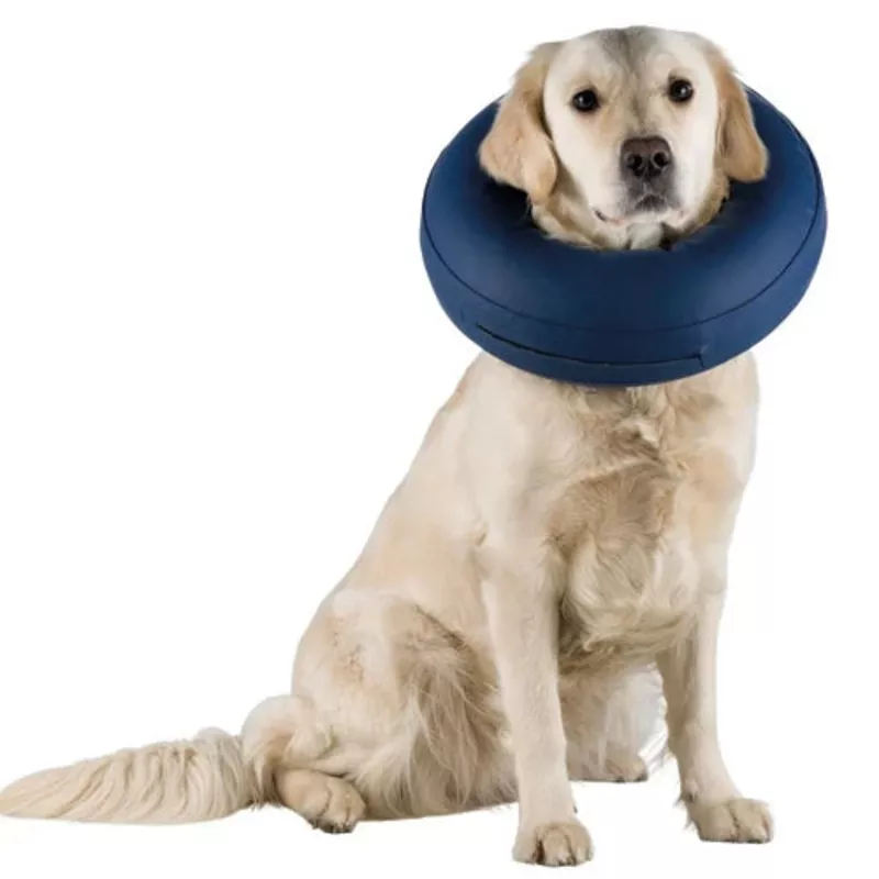 protective-collar-inflatablefor-dogs-s-m-blue Protective Collar Inflatablefor dogs S-M Blue