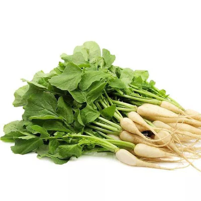 radish-palak-patte-wali-desi-vegetable-seeds Radish Palak Patte Wali – Desi Vegetable Seeds
