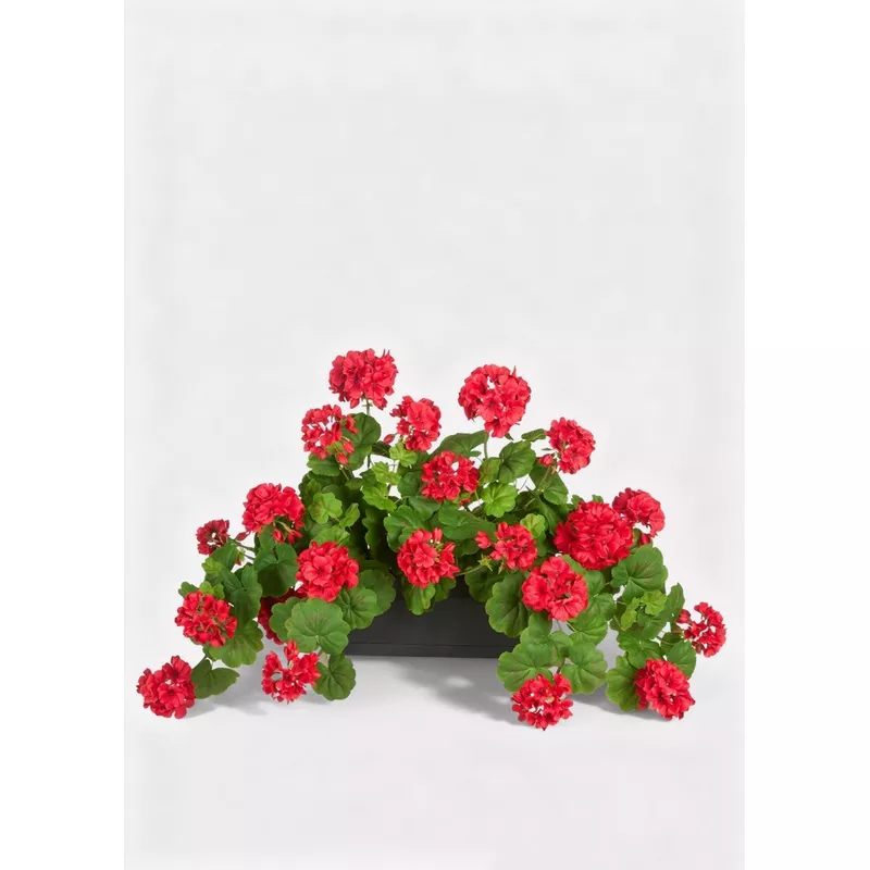 red-artificial-geranium-arrangement-in-plastic-planter-18 Red Artificial Geranium Arrangement in Plastic Planter – 18″