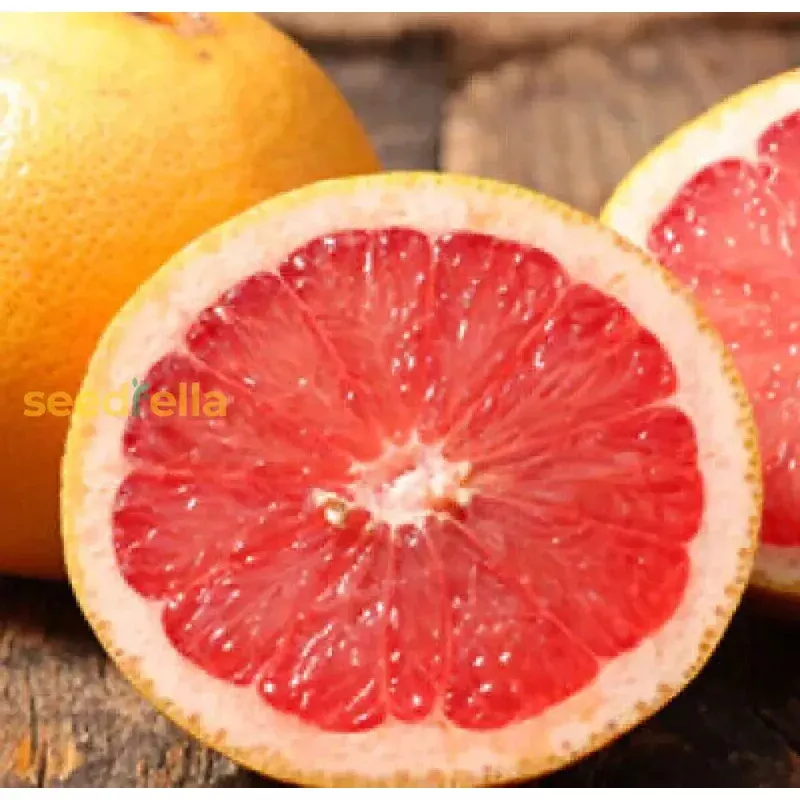 red-sweet-grapefruit-fruit-seeds-easy-planting-fresh-citrus Red Sweet Grapefruit Fruit Seeds – Easy Planting for Fresh Citrus