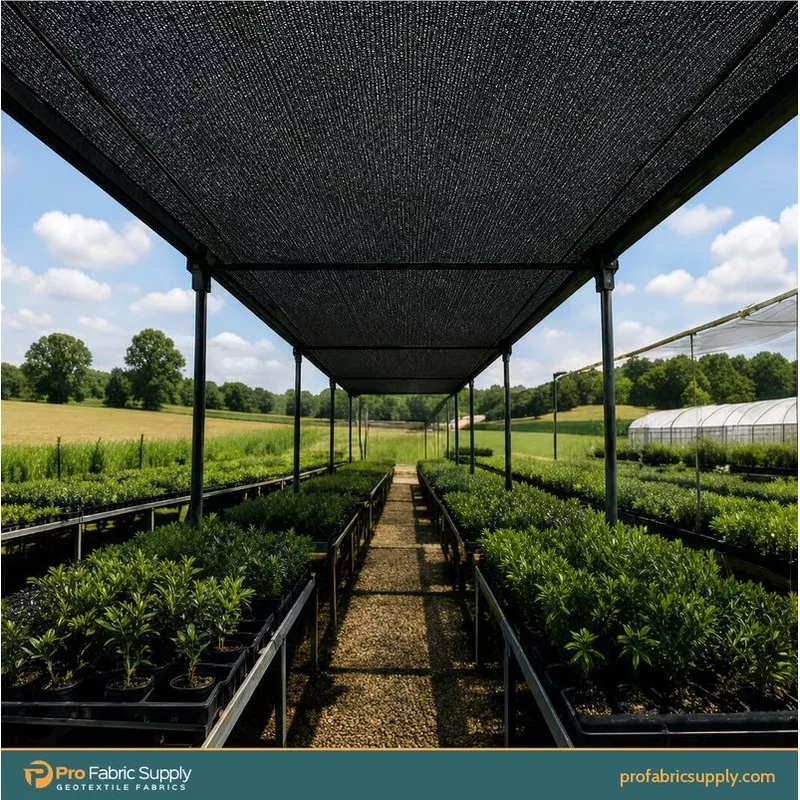 shade-cloth-dracena Shade Cloth For Dracena