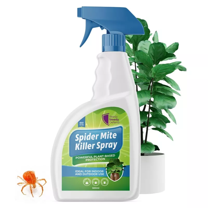 spider-mite-killer-spray-plants-500mlnatural-insecticidal-soapkills-red-spider-m Spider Mite Killer Spray for Plants 500mlNatural Insecticidal SoapKills Red Spider Mites, Aphids, Whiteflies, and MoreIdeal for Indoor & Outdoor Use on Fruits, Vegetables, and Flowers