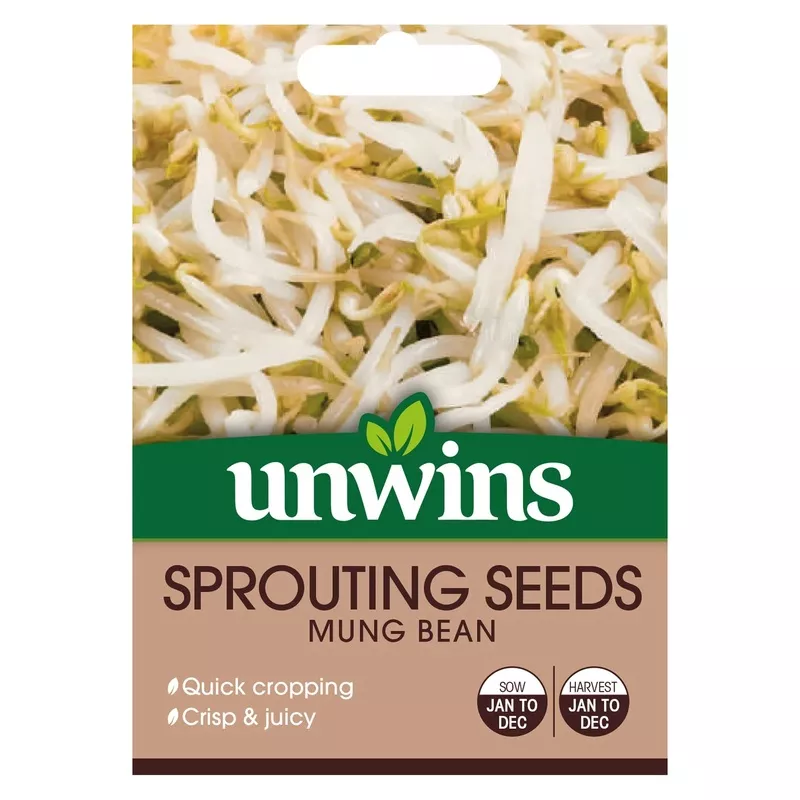 sprouting-seeds-mung-bean Sprouting Seeds Mung Bean