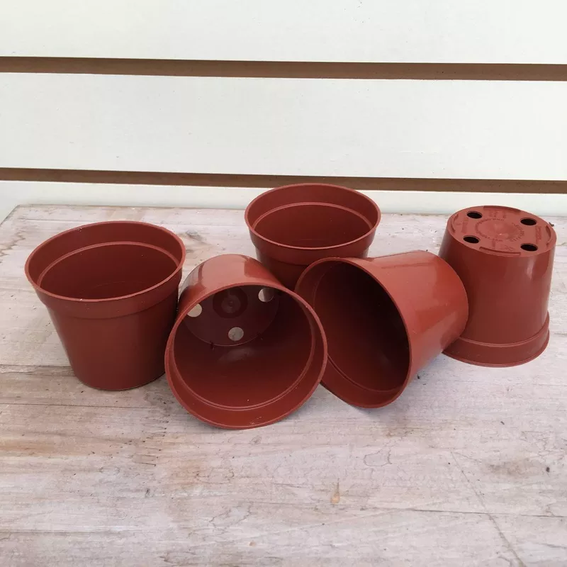 starter-kit-small-cuttings Starter Kit for Small Cuttings
