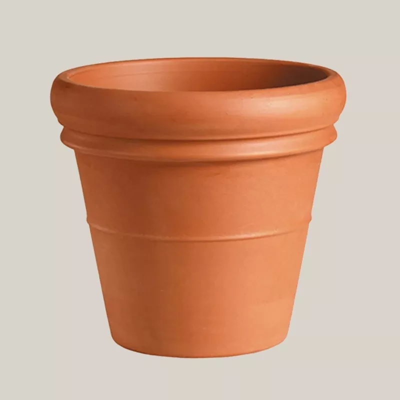 terracotta-heavy-rim-pot Terracotta Heavy Rim Pot