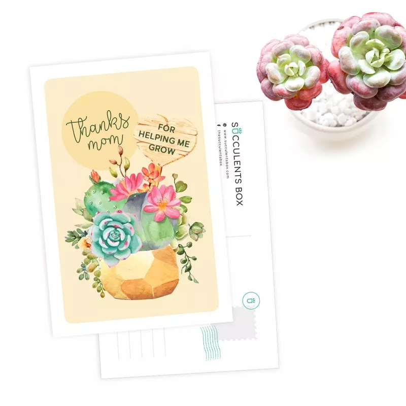 thanks-mom-card Thanks Mom Card