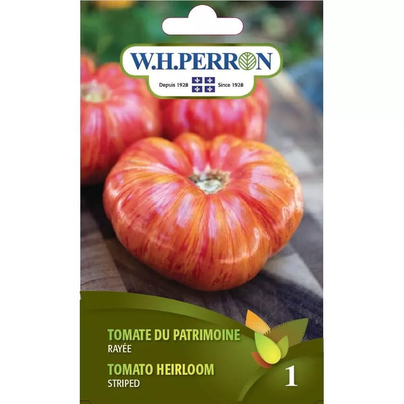 tomate-du-patrimoine-raye-semences Tomate du patrimoine ‘Raye’ – Semences