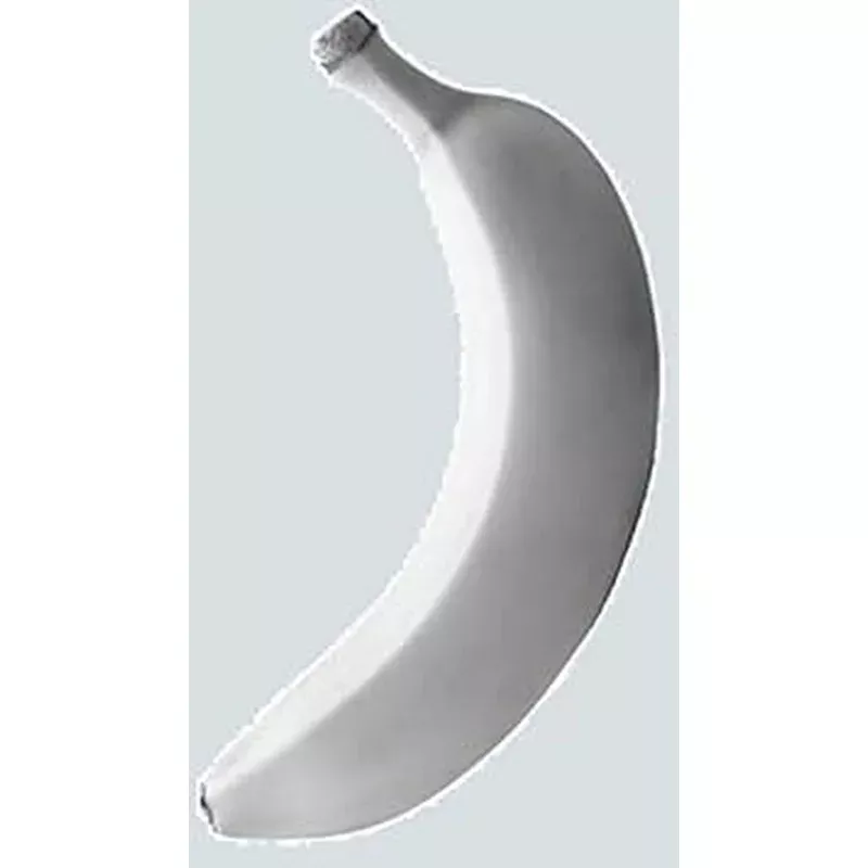 white-banana-seeds-planting White Banana Seeds for Planting