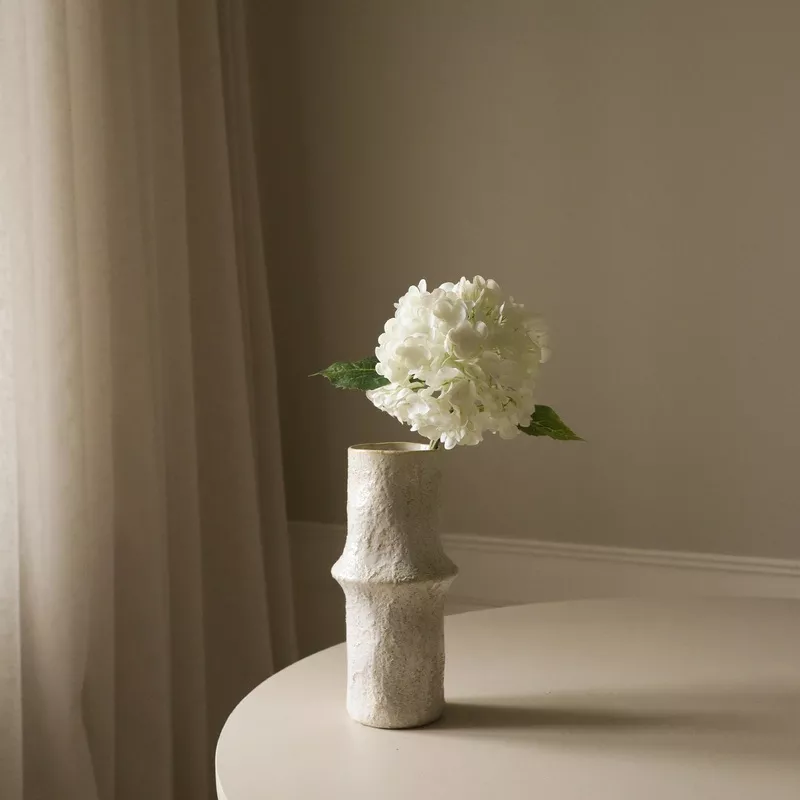 white-hydrangea-flower-white White Hydrangea Flower White